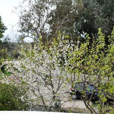 Jennifer's * Lefkada City